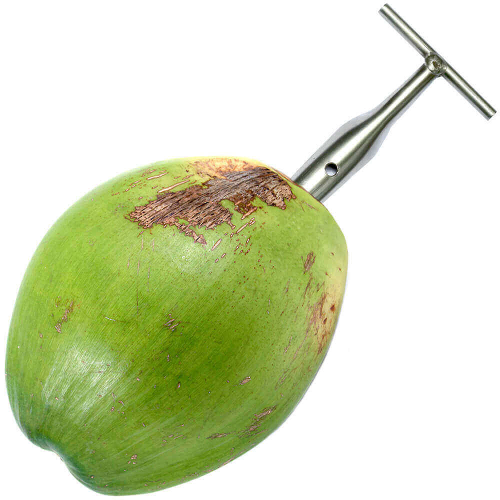 Abridor COCO